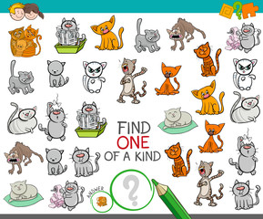 find one of a kind game with cat characters