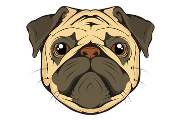 Pug dog set. Head of an pug. Pets for design. Vector graphics to design.