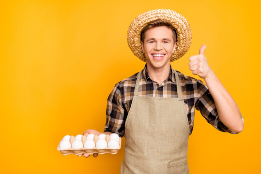 Gro-free non-gmo promo recommend choice choose present eating nutrition healthy care trust enjoy people concept. Portrait of cheerful friendly excited gardener holding eggs isolated on gray background