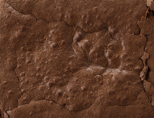 baked brownie pie, full frame