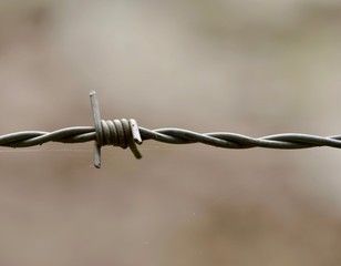 a minimalism wire fence, pointing the way to connection