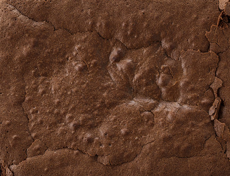 baked brownie pie, full frame