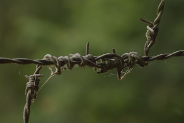 a wire fence separates us, we need connection that's the only right way