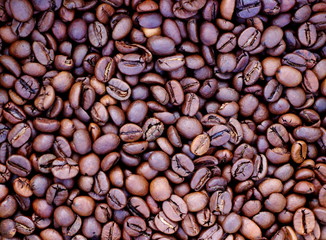 Roasted brown coffee beans in soft focus background and texture. Blurred abstract background for kitchen theme
