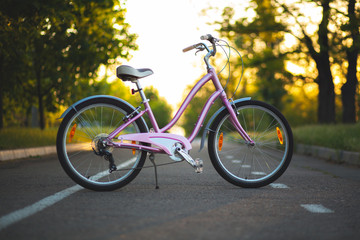 Fototapeta na wymiar Bicycle in the city park