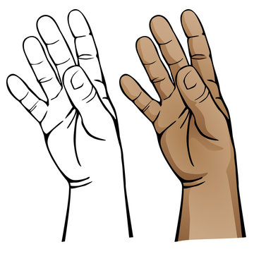 Open Hand Vector Illustration
