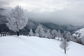 Winter landscape in the mountains