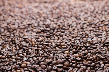 coffee cup grain top view