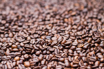 coffee cup grain top view