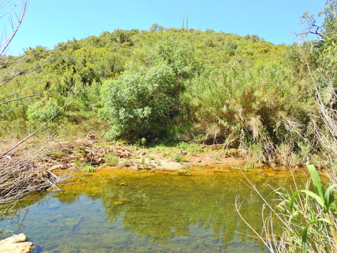 Stream in Algarve, Portugal: Ribeira de Quarteira