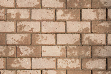 Stone colored tiles pavement texture