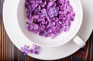 Obraz na płótnie Canvas Purple lilac flowers