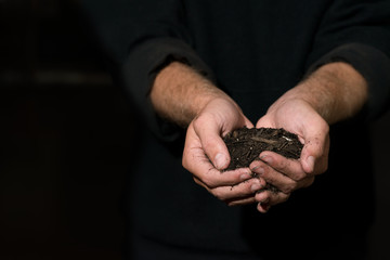 Man in black shirt holding pile of dirt