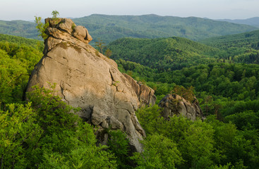 Fototapeta na wymiar Rocks towering over green spring beech forest