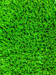 Artificial cover for the sports field. Close up shot