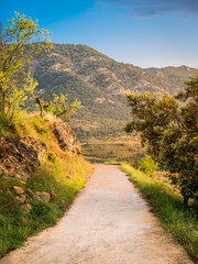 Small road in the spanish mountains leading to a wine yard field.