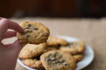 Homemade Chocolate Chip Cookies
