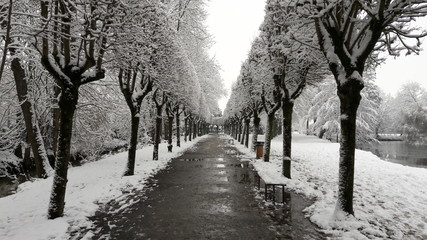 parc sous la neige