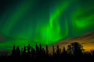 Northern Lights