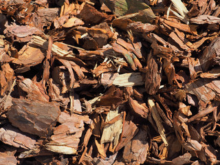 Shredded brown bark background, close-up. Wood mulch chips from pine bark. Garden decorative and landscape works