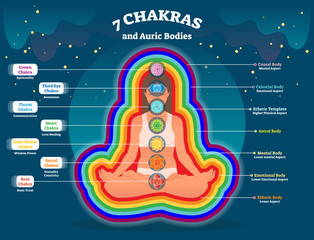 Aura body layers, spiritual energy vector illustration diagram with seven chakras. Energy balance system. Yoga practice and healing subtle body. - obrazy, fototapety, plakaty