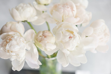 Lovely flowers in glass vase. Beautiful bouquet of white peonies . Floral composition, daylight. Summer wallpaper