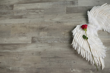 Angel Wings and Roses 