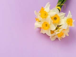 Fototapeta na wymiar White daffodil bouquet on violet pastel background with copy space.
