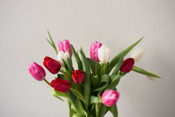 Pink And Red Tulips 