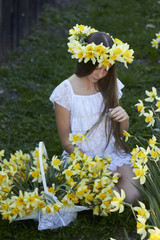 Beautiful young girl with long hair on head wreath, in white dress. Outdoors, surrounded by yellow daffodils, collects flowers in a basket and breathes their scent.