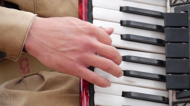 Musician playing the accordion. Hand playing accordions closeup. Accordion player.