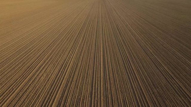 agriculture