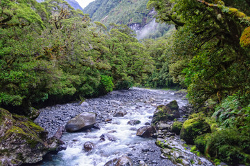 Cleddau River  along the Chasm Walk, halfway between Milford Sound and the Homer Tunnel - Fiordland National Park, South Island, New Zealand