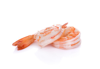 shrimps on a white background