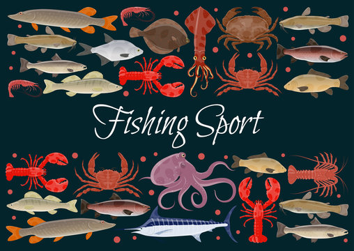 Fishing sport vector seafood poster of fresh fish