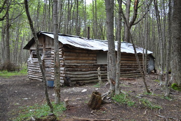 casa casebre madeira troncos floresta