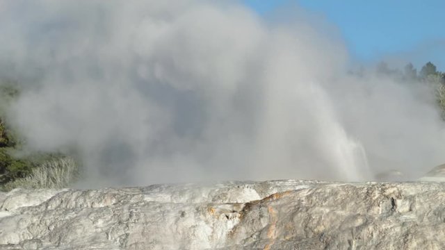 Powerful geyser shooting steam at Rotorua, New Zealand