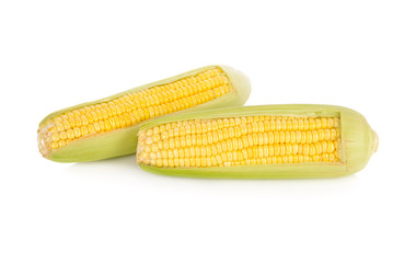 uncooked whole sweet corn with shell on white background