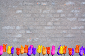 Bright tulips on washed brick wall background texture for copy