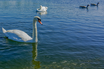 Hyde Park