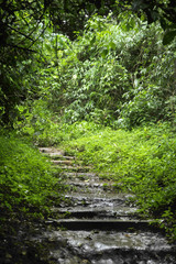 A small section of the hiking trail to Catarata Zamora and Catar