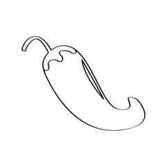 Chili pepper sketch