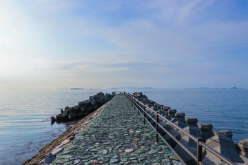 海
