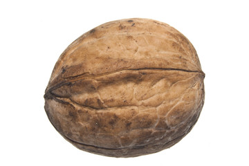 walnut isolated on white background