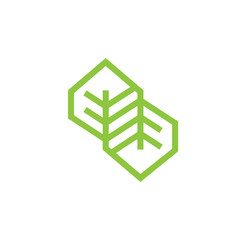 Leaf Hexagon Logo