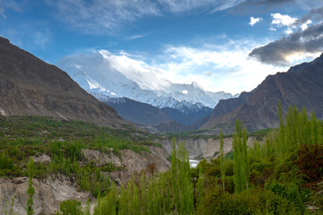 Snow cap mountain under blue sky and green Poplar forest along Hunza river