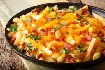 Freshly cooked French fries baked with cheddar cheese, bacon and parsley closeup on a plate....