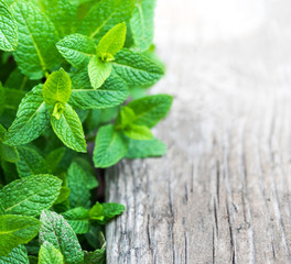 Fresh mint leaf,  lemon balm herb on wooden background with copyspace, close up.