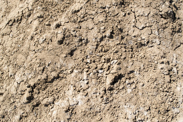 Background of brown earth
