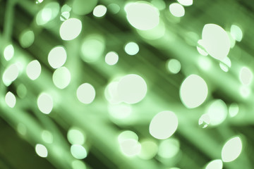 Green blurred bokeh background.